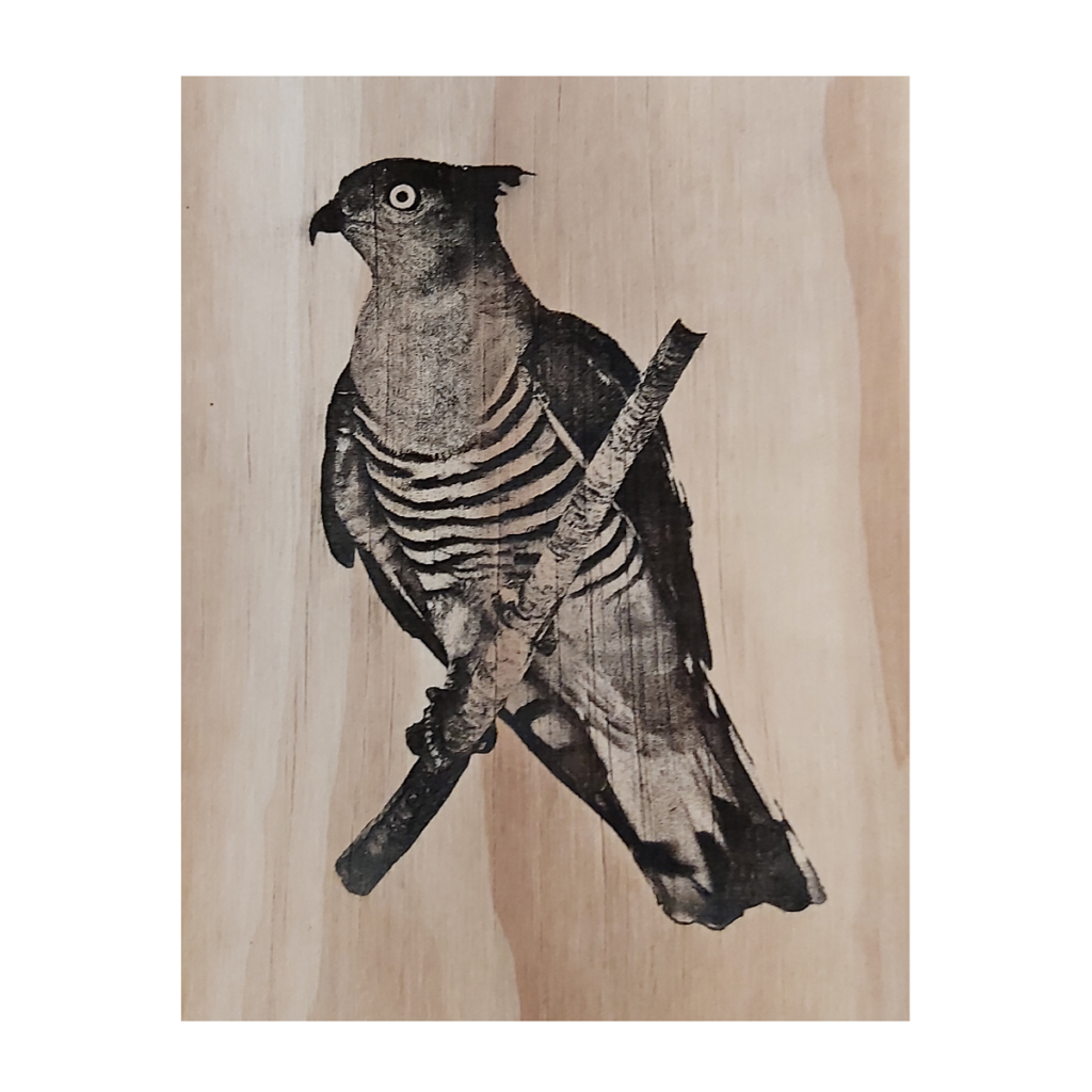 Pacific Baza Laser Engraving on wood