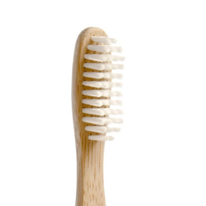 Amazing Brush with bamboo toothbrush plant derives bristles