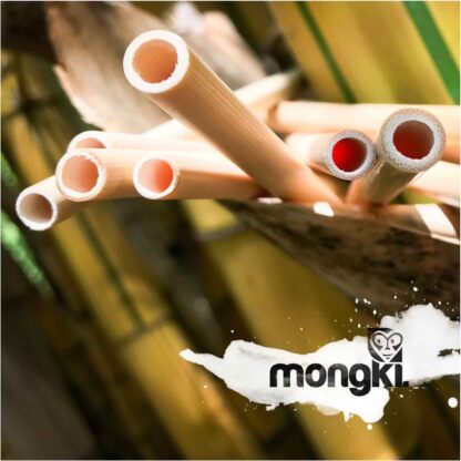Mongki Bamboo Drinking Straws - Re-Usable PK4