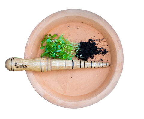 Measuring your seedling roots using a Zero Waste Seedline Dibbler